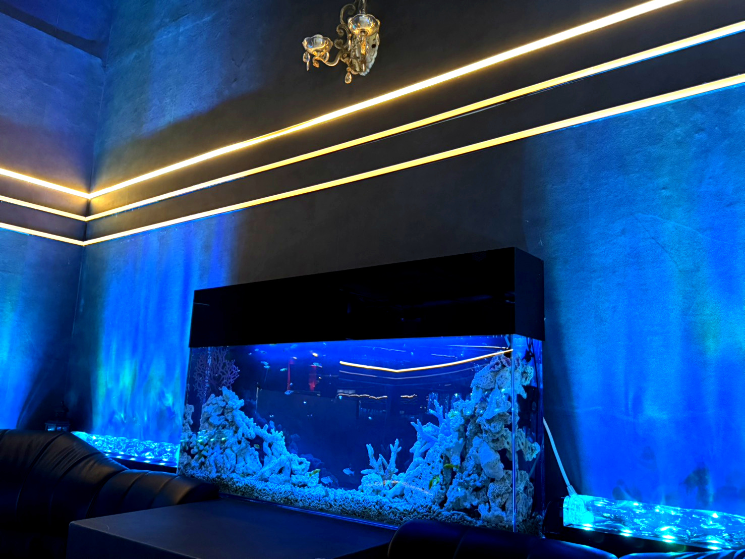 横浜ホストクラブARTEMIS（アルテミス）店内雰囲気